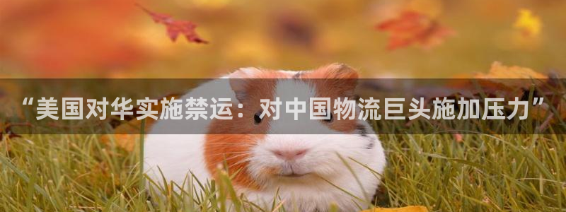 狗子28官网下载链接是什么网站：“美