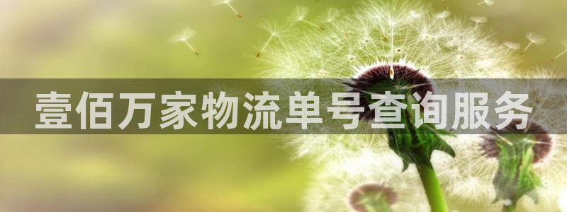 狗子28推广链接是多少钱一个：壹佰万