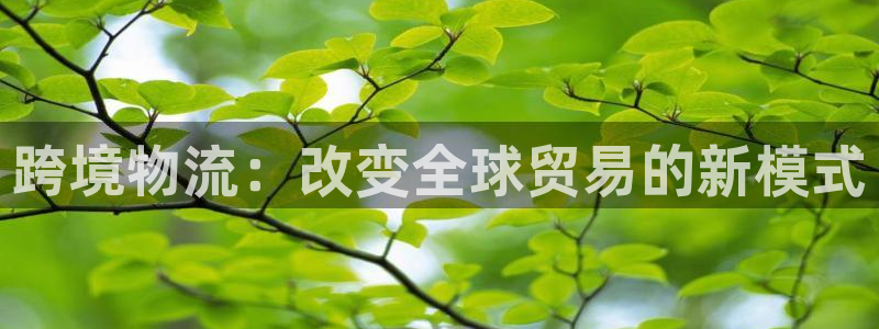 狗子28官网下载谁有：跨境物流：改变