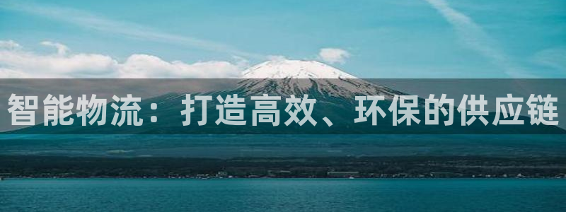 狗子28圈助手：智能物流：打造高效、