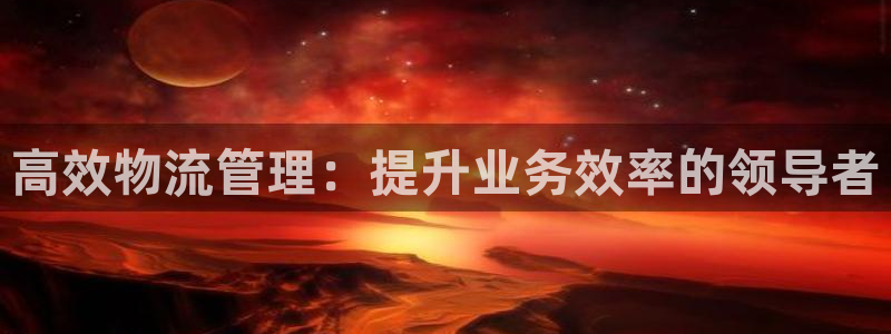 狗子28能不能退：高效物流管理：提升