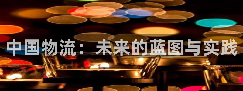 狗子28p扣除：中国物流：未来的蓝图