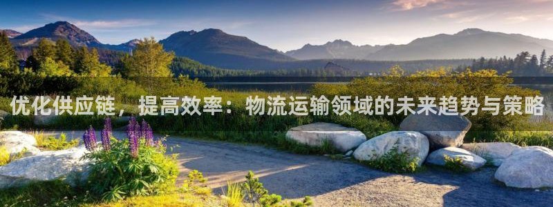 狗子28黑吗：优化供应链，提高效率：