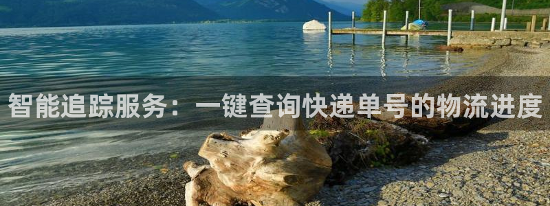 狗子28官网入口南宫：智能追踪服务：