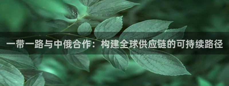 狗子28官网下载APP：一带一路与中