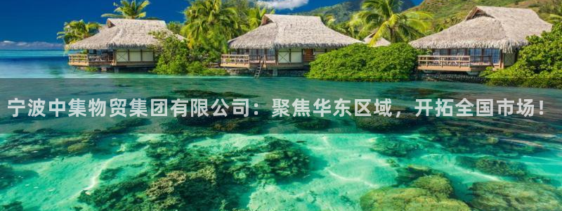 狗子28登录流程：宁波中集物贸集团有