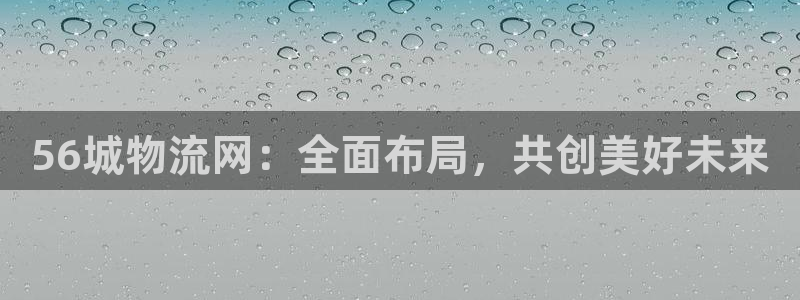 狗子28注册链接教程：56城物流网：
