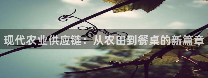 狗子28麻将胡了在线试玩：现代农业供