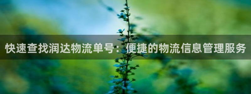 狗子28怎么下载：快速查找润达物流单号：便捷的物流信息管理服