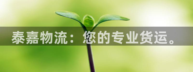 狗子28大舞台：泰嘉物流：您的专业货