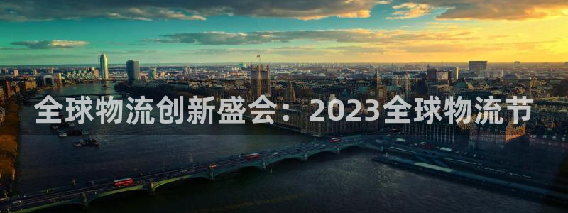 狗子28p扣除：全球物流创新盛会：2