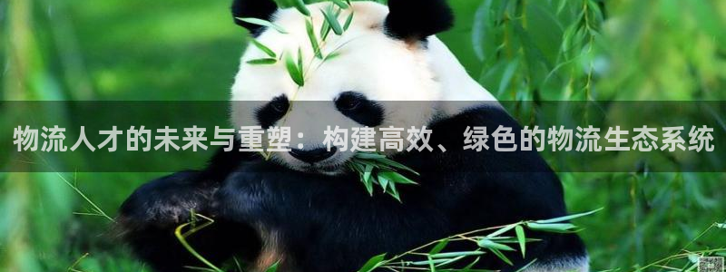 狗子28ccm游戏:物流人才的未来与