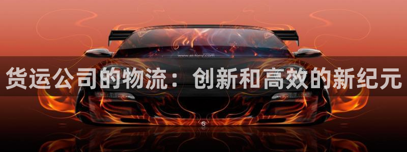 狗子28能提现吗：货运公司的物流：创