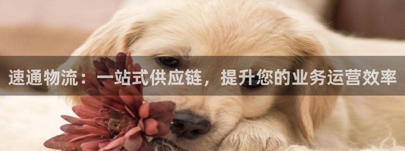 狗子28如何看计划：速通物流：一站式