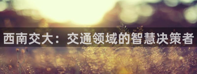 狗子28免费充钱：西南交大：交通领域