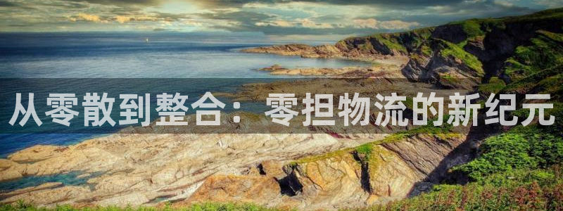 狗子28登录不上咋回事：从零散到整合