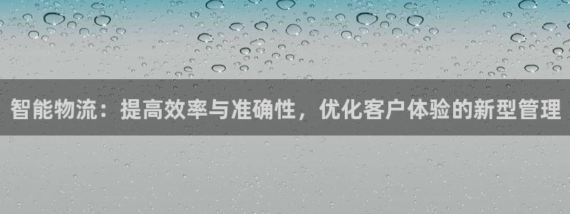 狗子28注册步骤：智能物流：提高效率