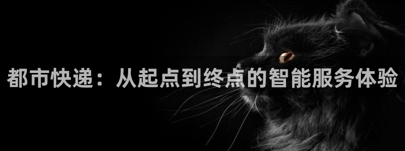 狗子28官网入口正版：都市快递：从起