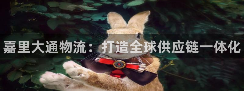 狗子28登录不上咋回事：嘉里大通物流