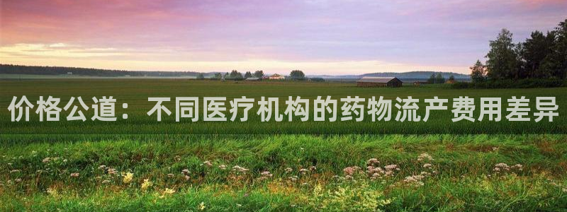 pc狗子28怎么注册：价格公道：不同