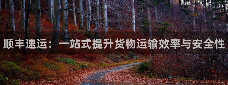 狗子28激活码:顺丰速运:一站式提升