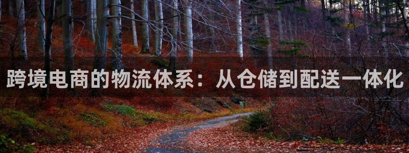 狗子28加拿大最新版