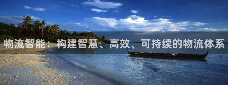 狗子28黑款：物流智能：构建智慧、高