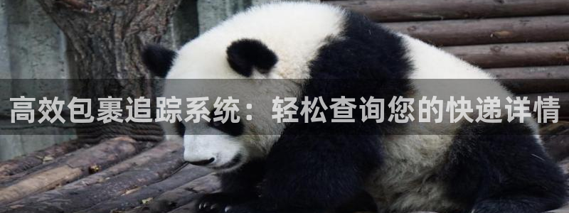 狗子28电子：高效包裹追踪系统：轻松