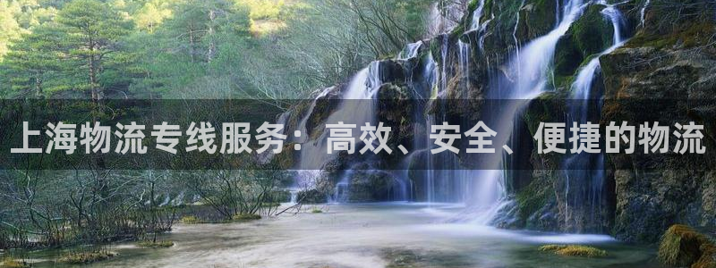 狗子28初始密码在哪里修改：上海物流