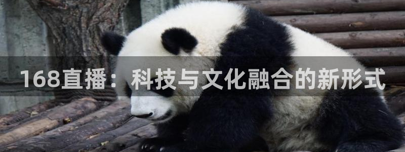 鲸鱼体育tv.点我直达.org：168直播：科技与文化融合的新形式