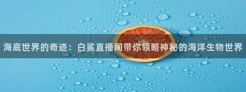 鲸鱼体育直播免费：海底世界的奇迹：白鲨直播间带你领略神秘的海洋生物世界