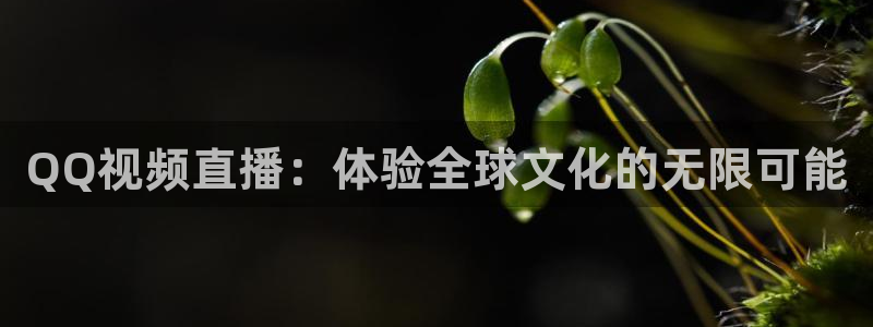 鲸鱼体育在线直播高清：QQ视频直播：体验全球文化的无限可能